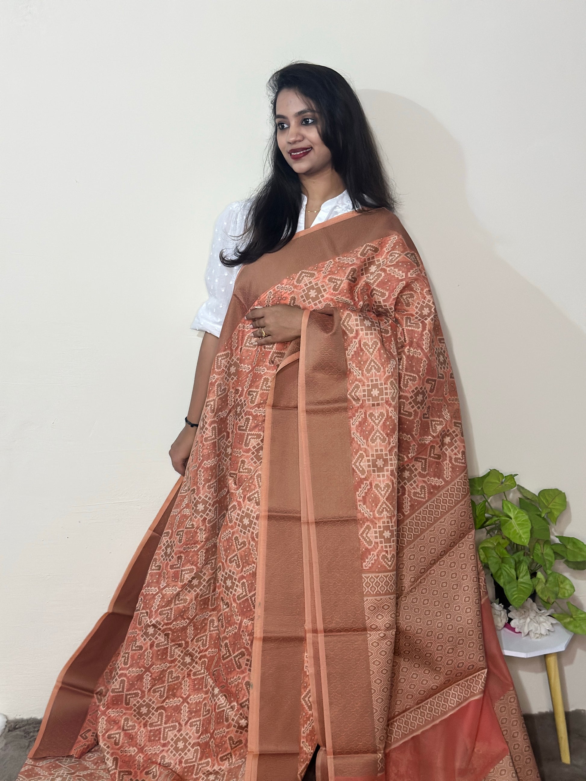 Banaras Patola Saree