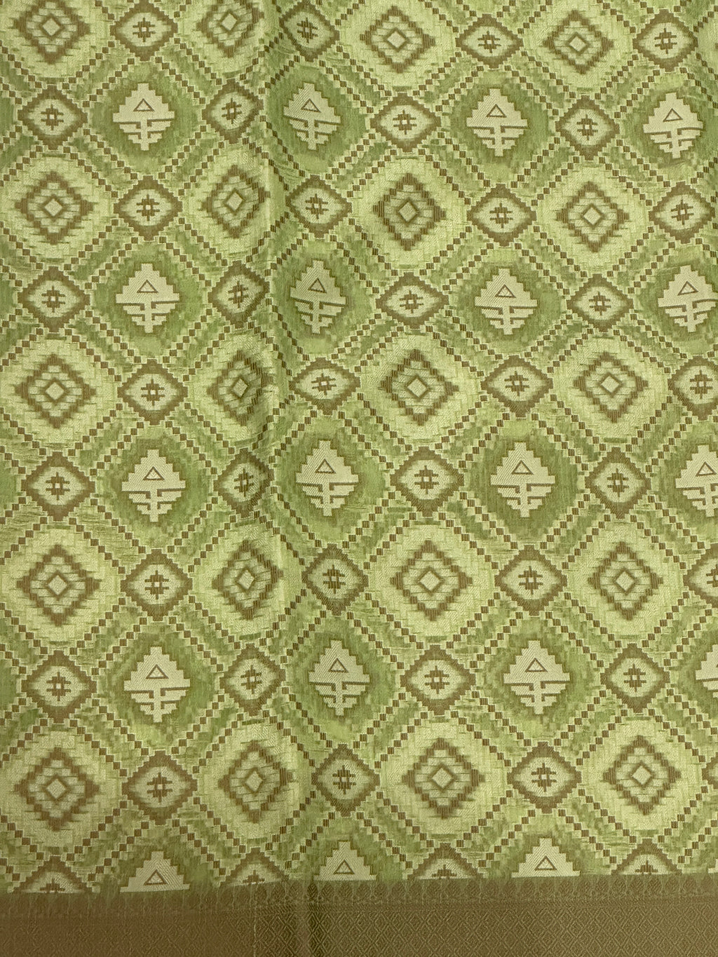 Banaras Patola Saree