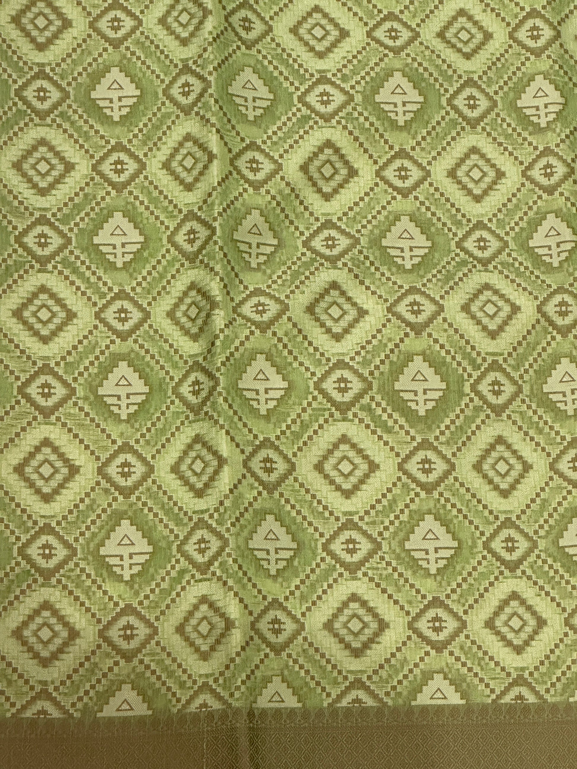 Banaras Patola Saree